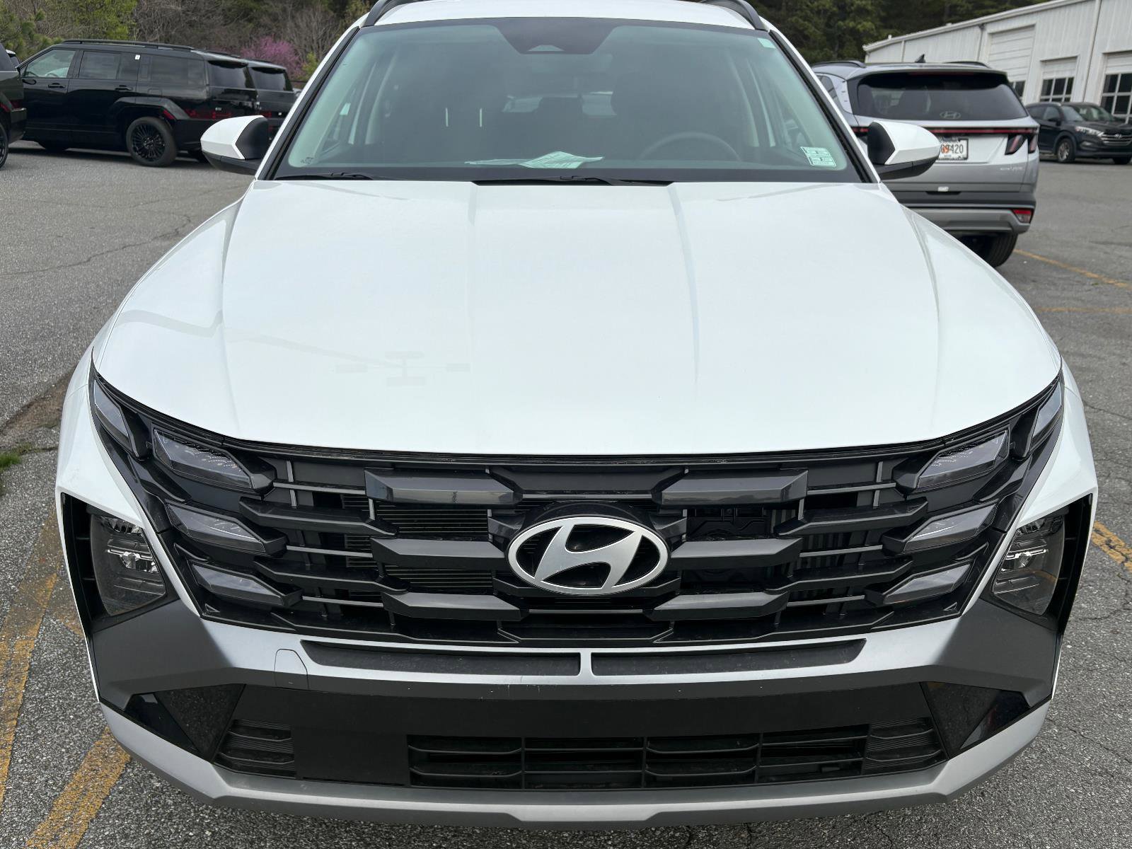 New 2025 Hyundai Tucson Blue AWD/4WD image 6