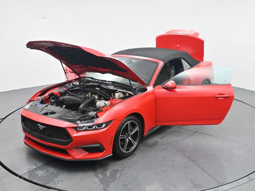 Used 2024 Ford Mustang EcoBoost image 39