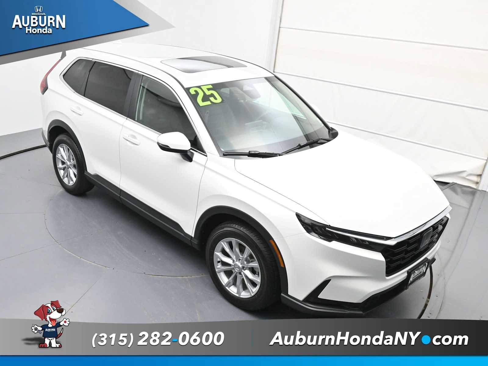 Used 2025 Honda CR-V EX-L image 21