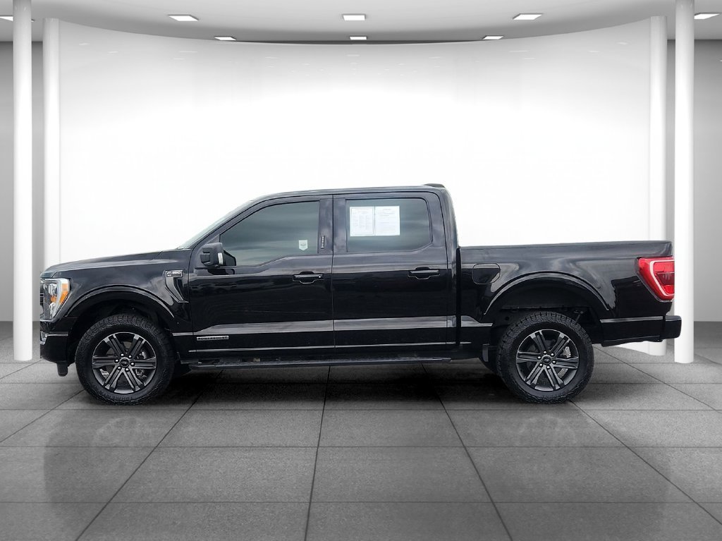 Used 2023 Ford F150 XLT w/ Equipment Group 302A High AWD/4WD image 4