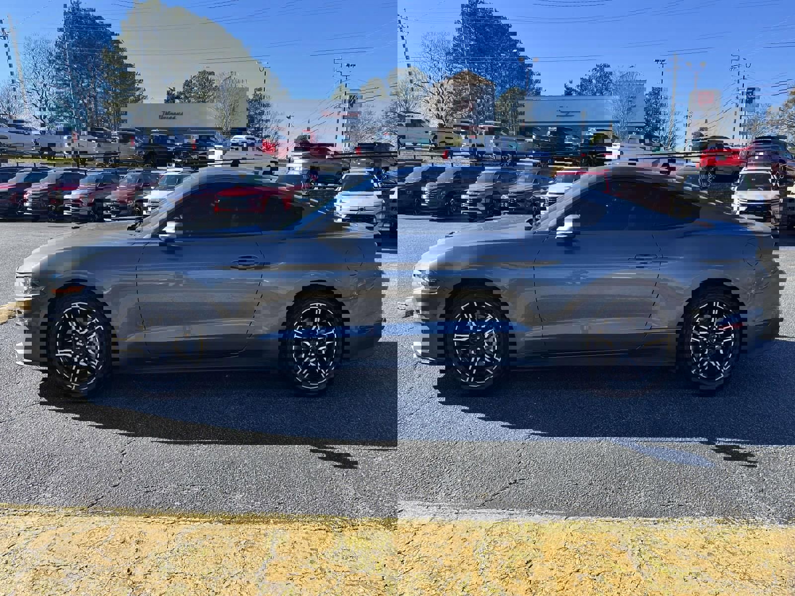 Used 2023 Ford Mustang Coupe w/ Equipment Group 101A image 6