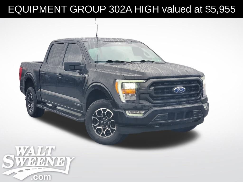 Used 2023 Ford F150 XLT w/ Equipment Group 302A High image 1
