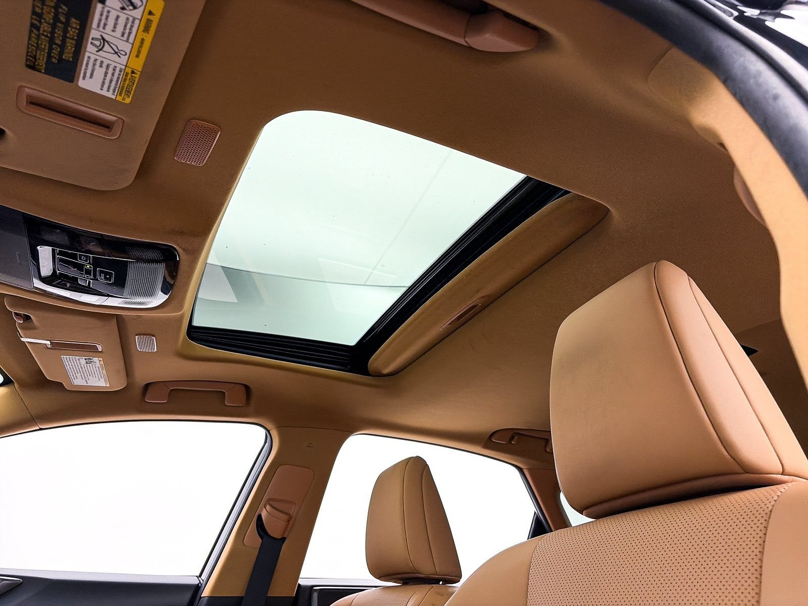 Used 2024 Lexus NX 350 AWD w/ Cold Area Package image 5