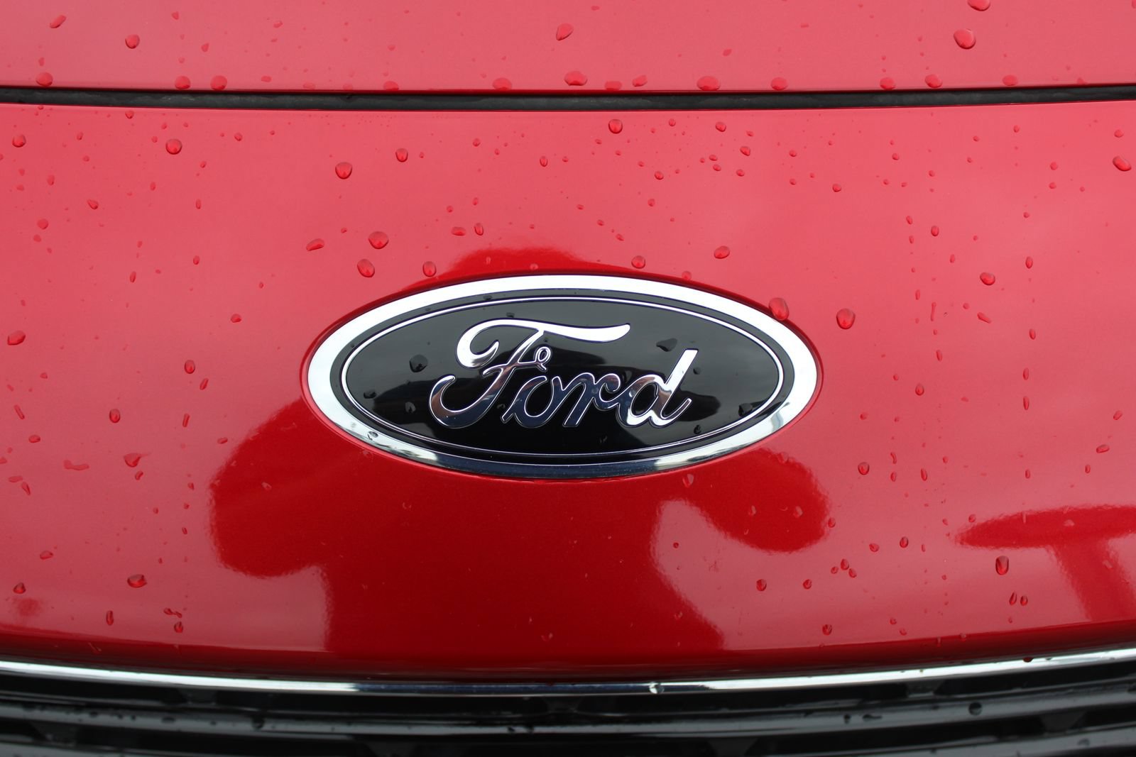 Used 2022 Ford Escape SEL w/ SEL Stealth AWD Package image 10