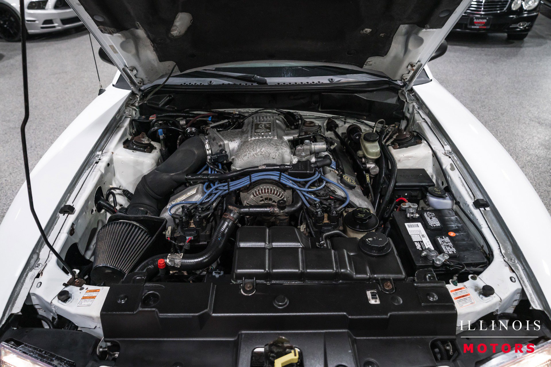 Used 1998 Ford Mustang Cobra RWD image 41