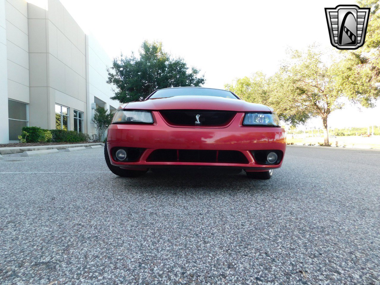Used 2001 Ford Mustang Cobra image 25