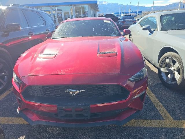 Used 2021 Ford Mustang Premium w/ Equipment Group 201A image 7