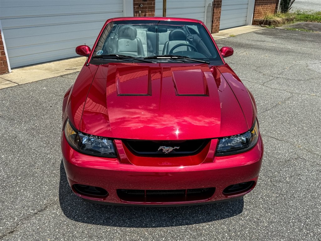 Used 2004 Ford Mustang Cobra RWD image 12