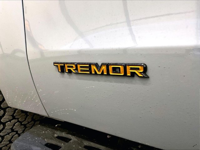 Used 2025 Ford Expedition Tremor AWD/4WD image 13