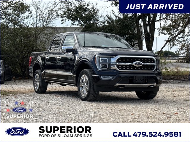 Used 2023 Ford F150 Platinum w/ Equipment Group 701A High
