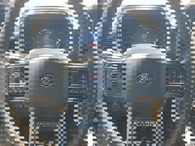 New 2025 Ford F150 Platinum image 21