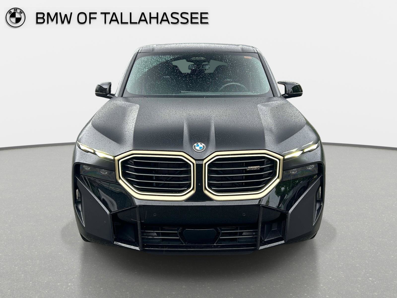 Used 2023 BMW XM AWD/4WD image 2