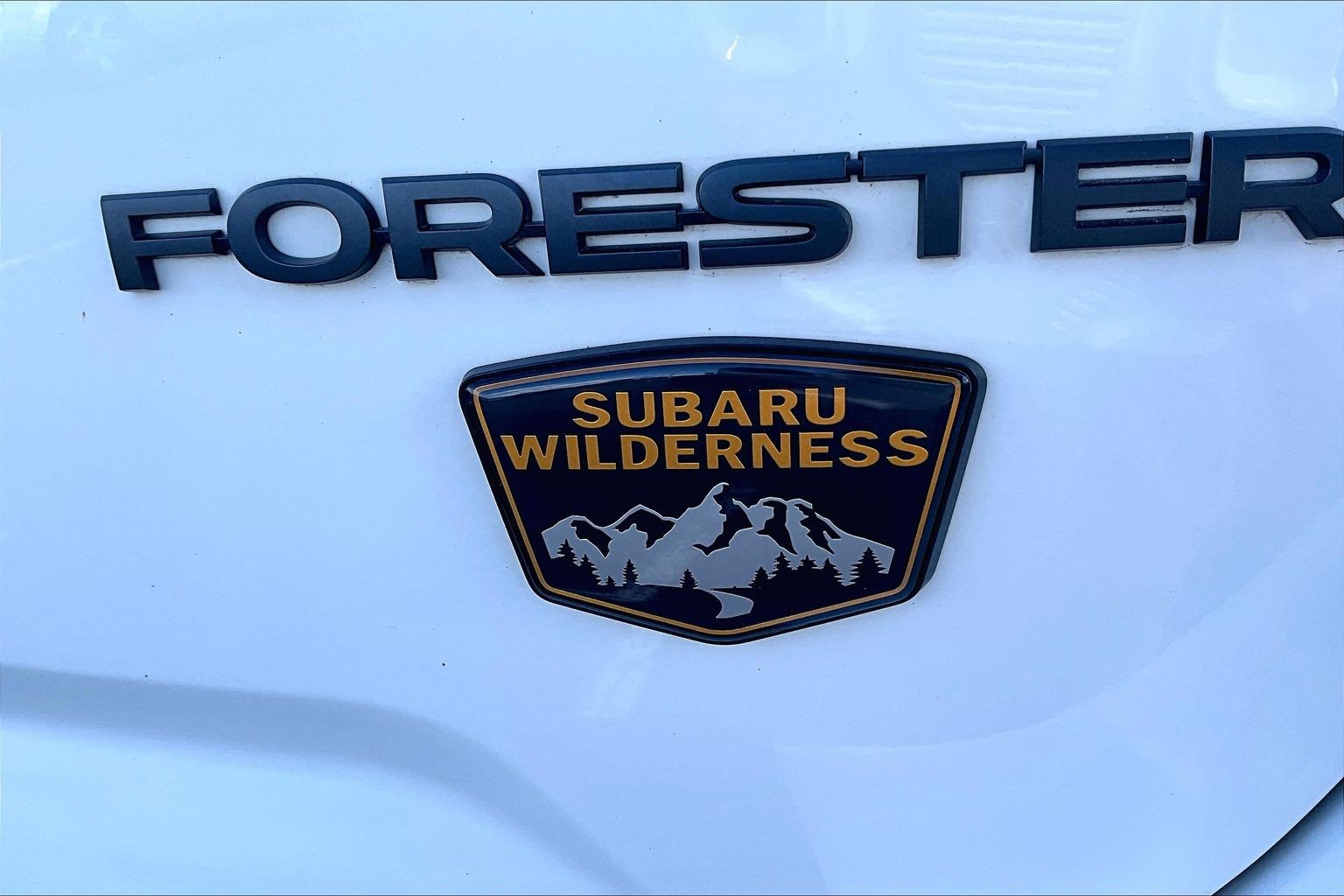 Used 2024 Subaru Forester Wilderness w/ Wilderness Package AWD/4WD image 8