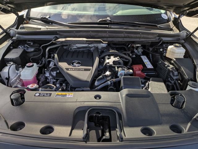 Used 2023 Lexus RX 350 Premium Plus w/ Cold Area Package image 12