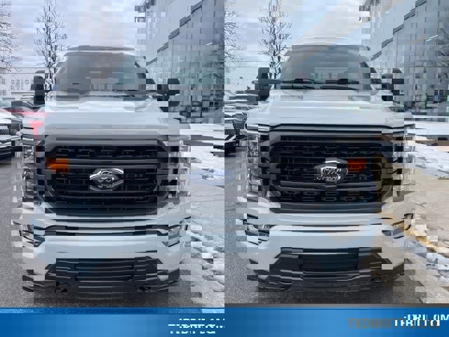 Used 2023 Ford F150 XLT w/ Equipment Group 302A High image 2