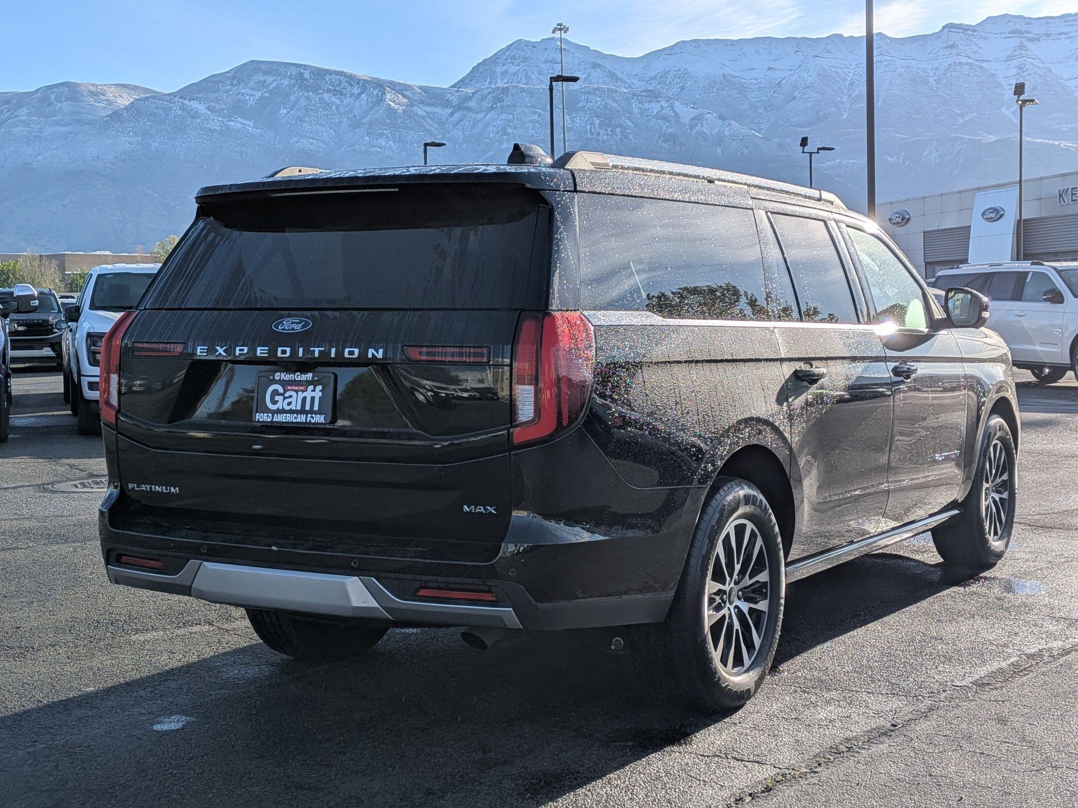 Used 2025 Ford Expedition Max Platinum image 3