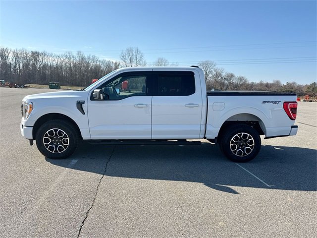 Used 2023 Ford F150 XLT w/ Equipment Group 302A High image 10