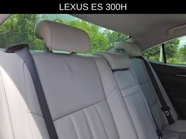 Used 2017 Lexus ES 300h w/ Luxury Package FWD image 14