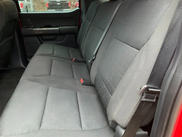 Used 2023 Ford F150 XLT w/ Equipment Group 302A High image 21