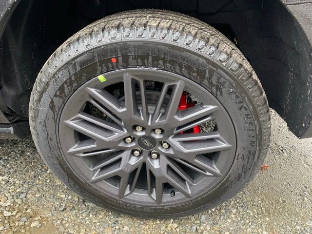 New 2025 Ford Expedition Platinum w/ Stealth Performance Package image 22