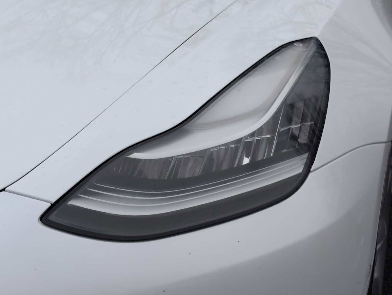 Used 2019 Tesla Model 3 Standard Range Plus image 11