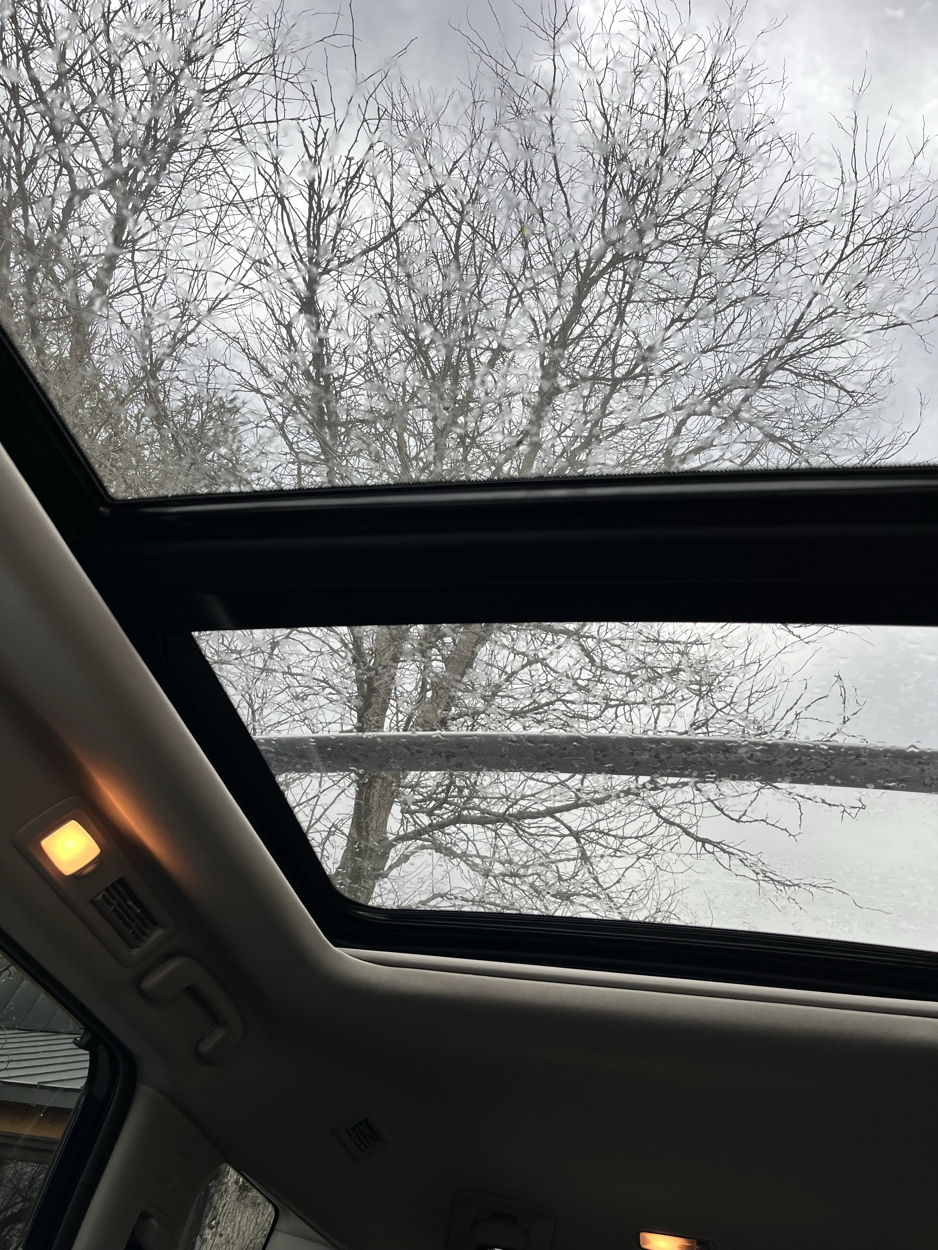 Used 2025 Nissan Pathfinder SL w/ SL Premium Package image 30