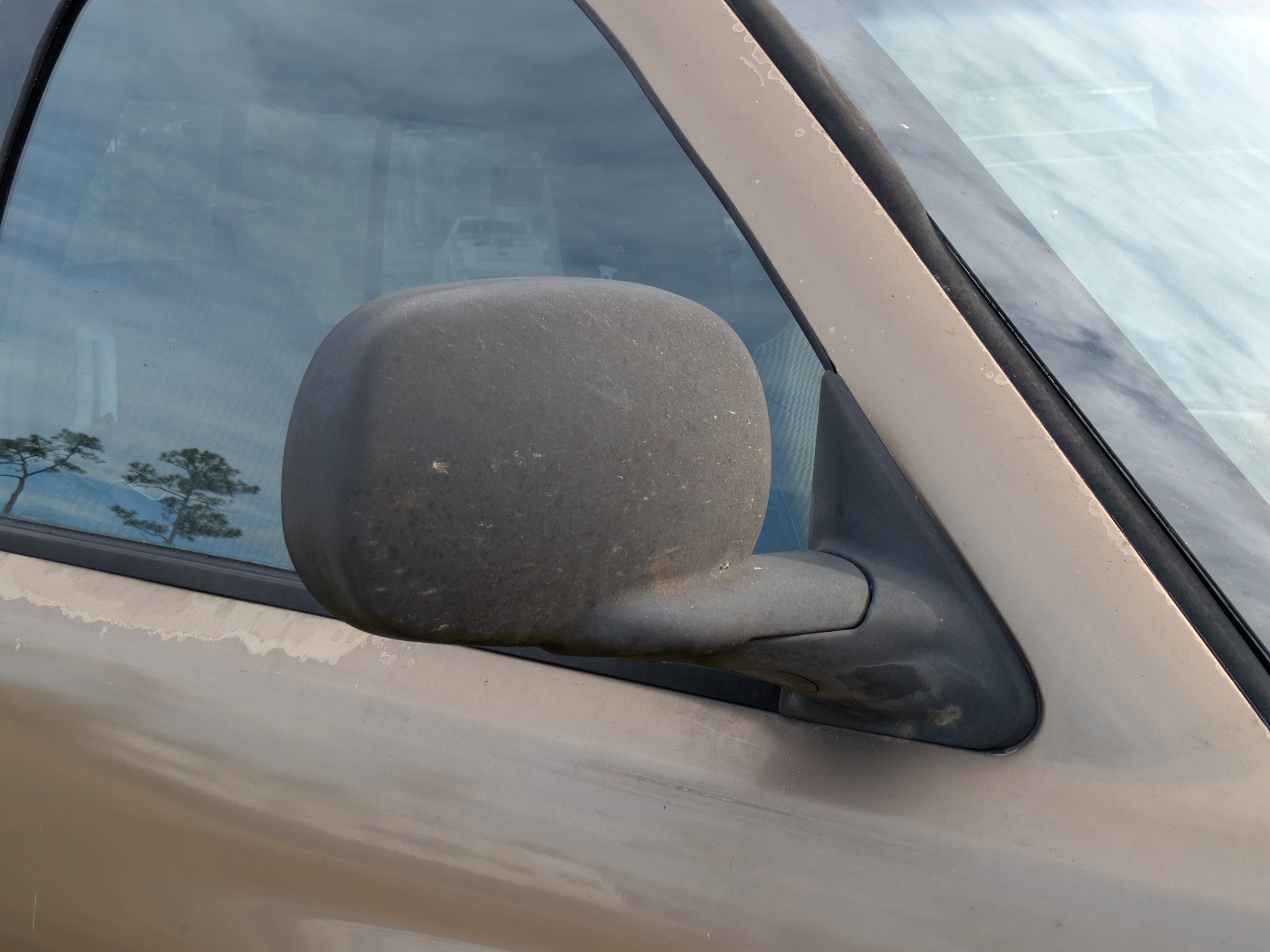 Used 2001 Dodge Ram 1500 Truck 2WD Quad Cab image 11