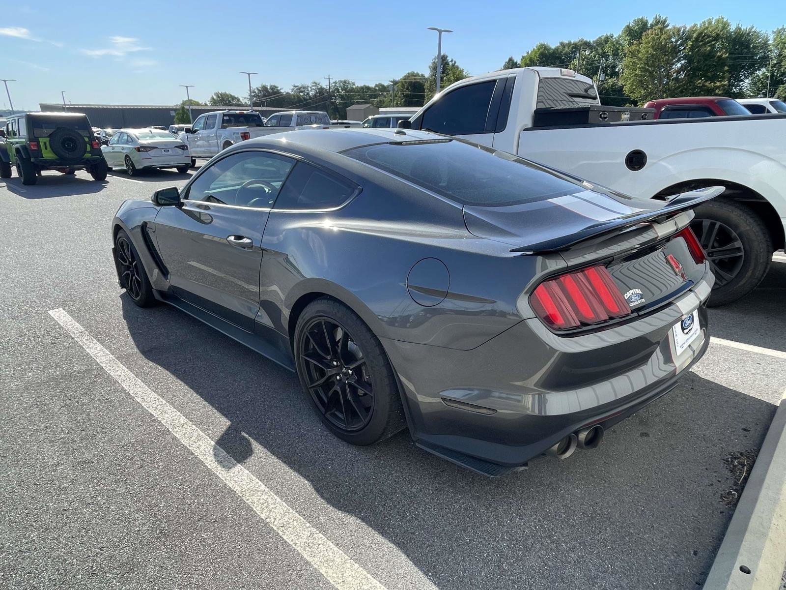 Used 2019 Ford Mustang Shelby GT350 w/ Technology Package RWD image 8