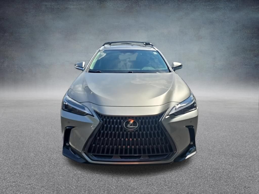 Used 2025 Lexus NX 250 FWD w/ Cold Area Package image 3