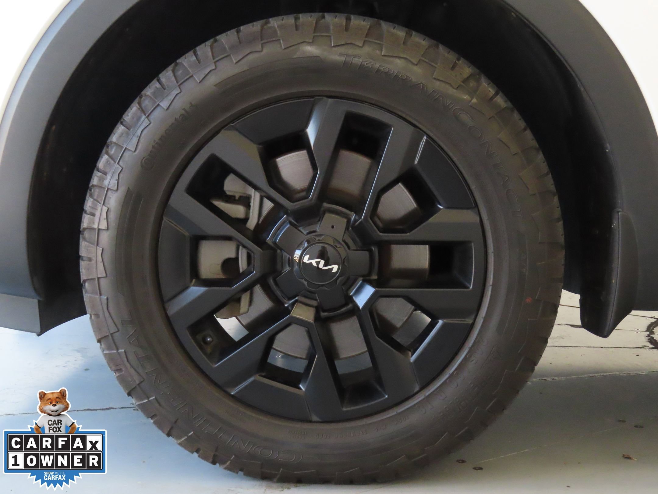 Used 2023 Kia Telluride SX Prestige X-Pro image 31