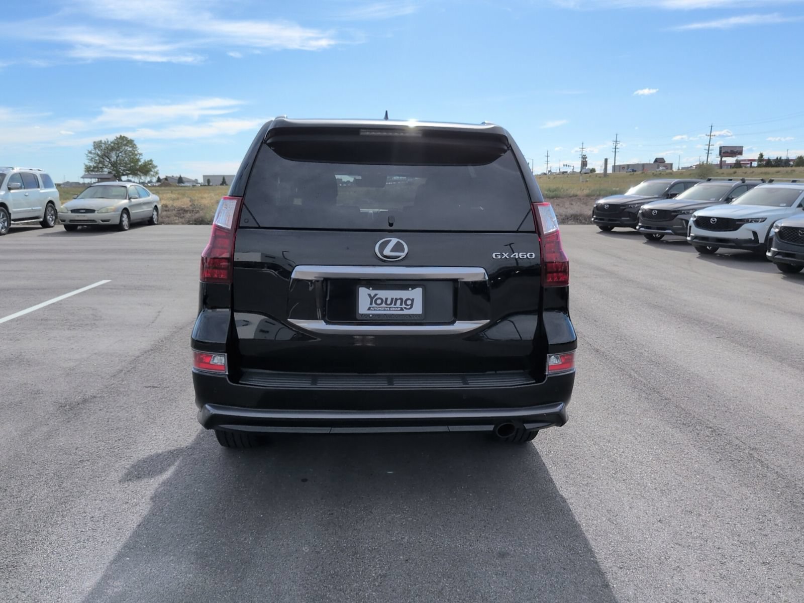Used 2020 Lexus GX 460 Premium AWD/4WD image 6