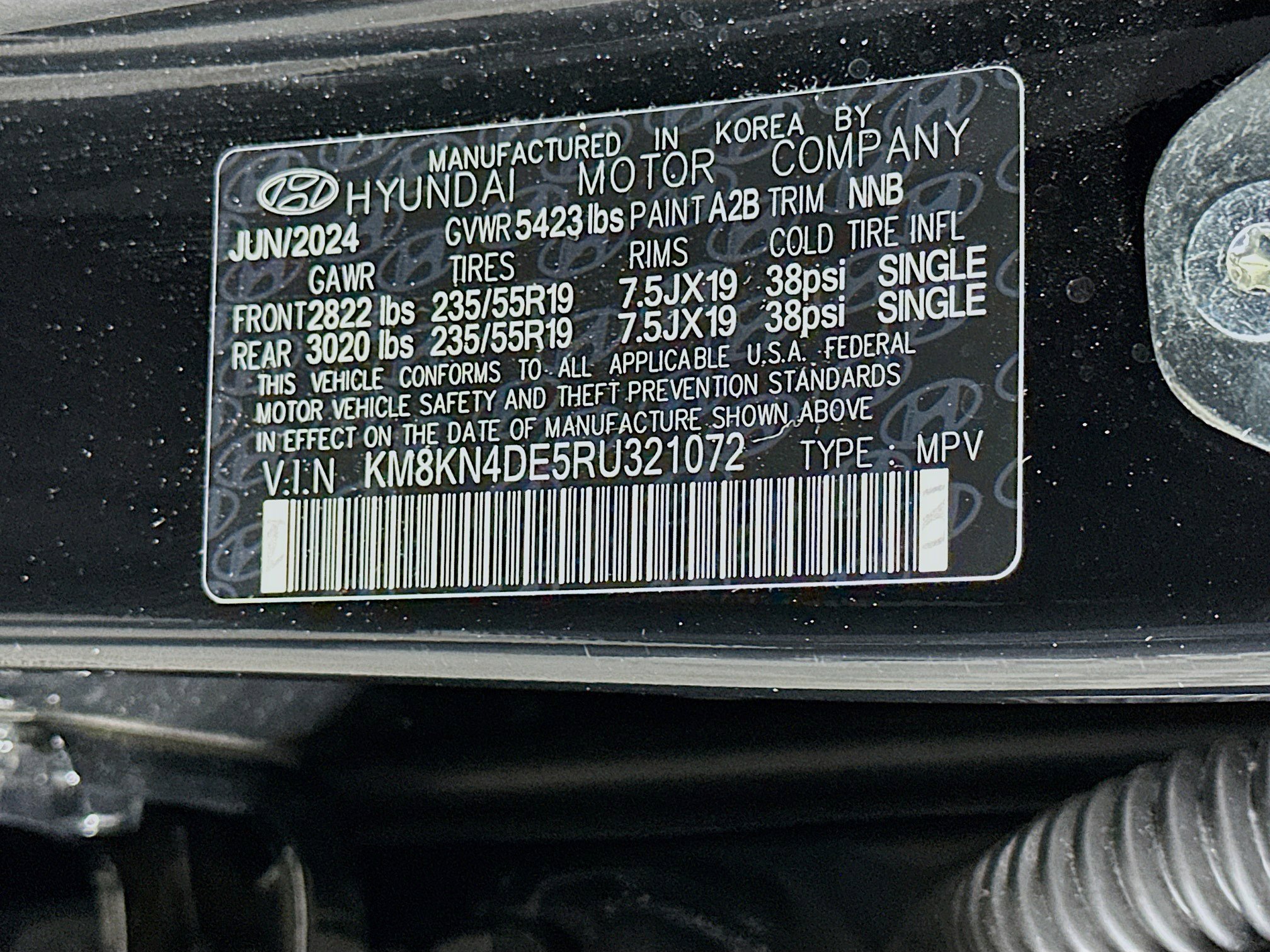 Used 2024 Hyundai Ioniq 5 SEL image 12