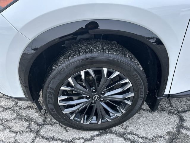 Used 2024 Nissan Rogue Platinum image 10