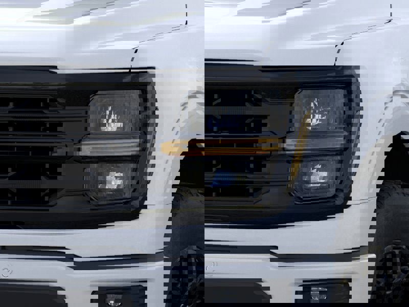 Used 2026 Ford F150 XLT w/ Equipment Group 302A MID image 18