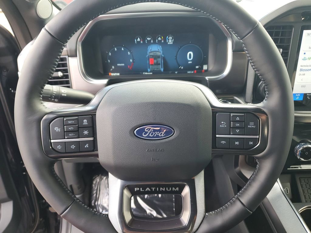 New 2025 Ford F150 Platinum image 20