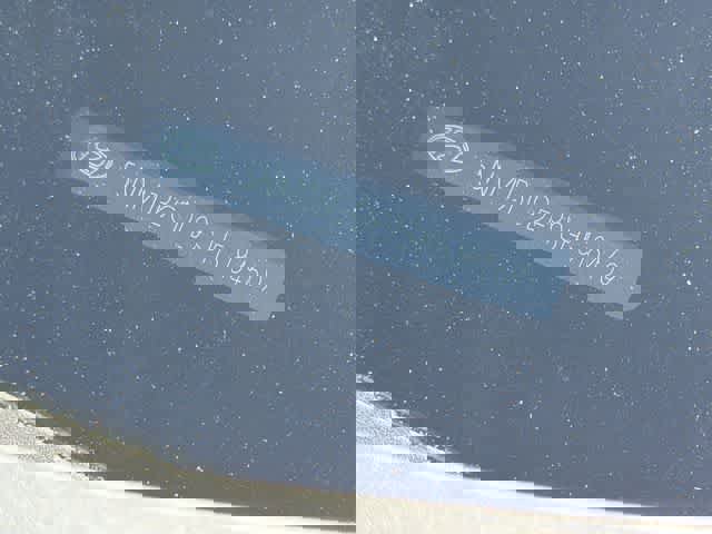 Certified 2025 Hyundai Tucson SEL image 26