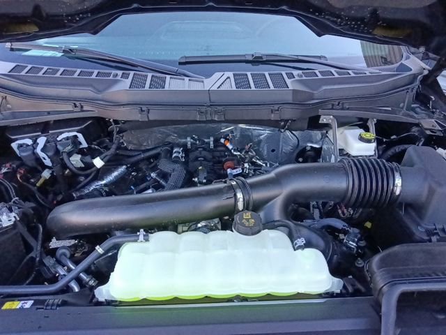 New 2026 Ford F150 XLT w/ Equipment Group 302A MID image 35