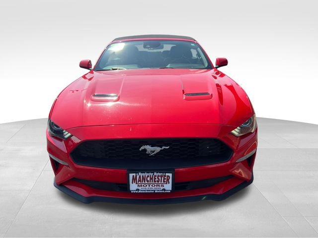 Used 2023 Ford Mustang Premium image 2