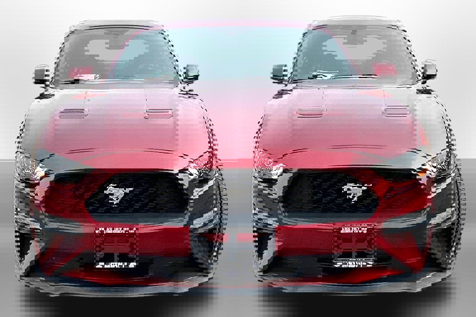 Used 2019 Ford Mustang EcoBoost image 3