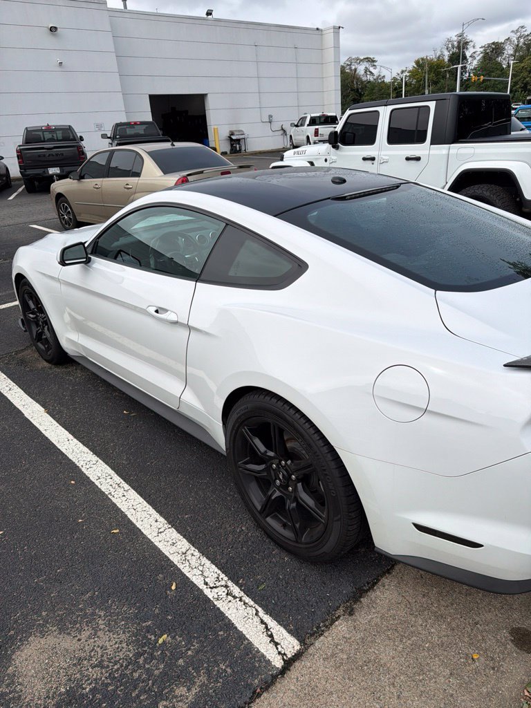 Used 2020 Ford Mustang Premium w/ Equipment Group 201A RWD image 8