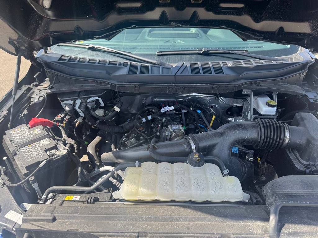 Used 2025 Ford F150 XLT w/ Equipment Group 301A Standard image 29