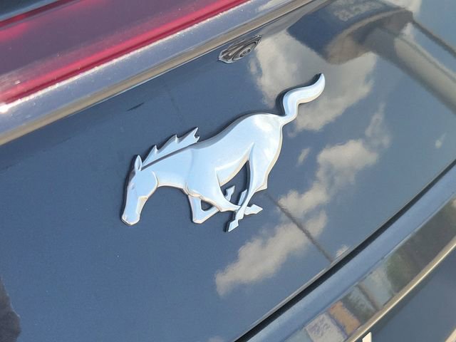 Certified 2024 Ford Mustang Premium RWD image 7
