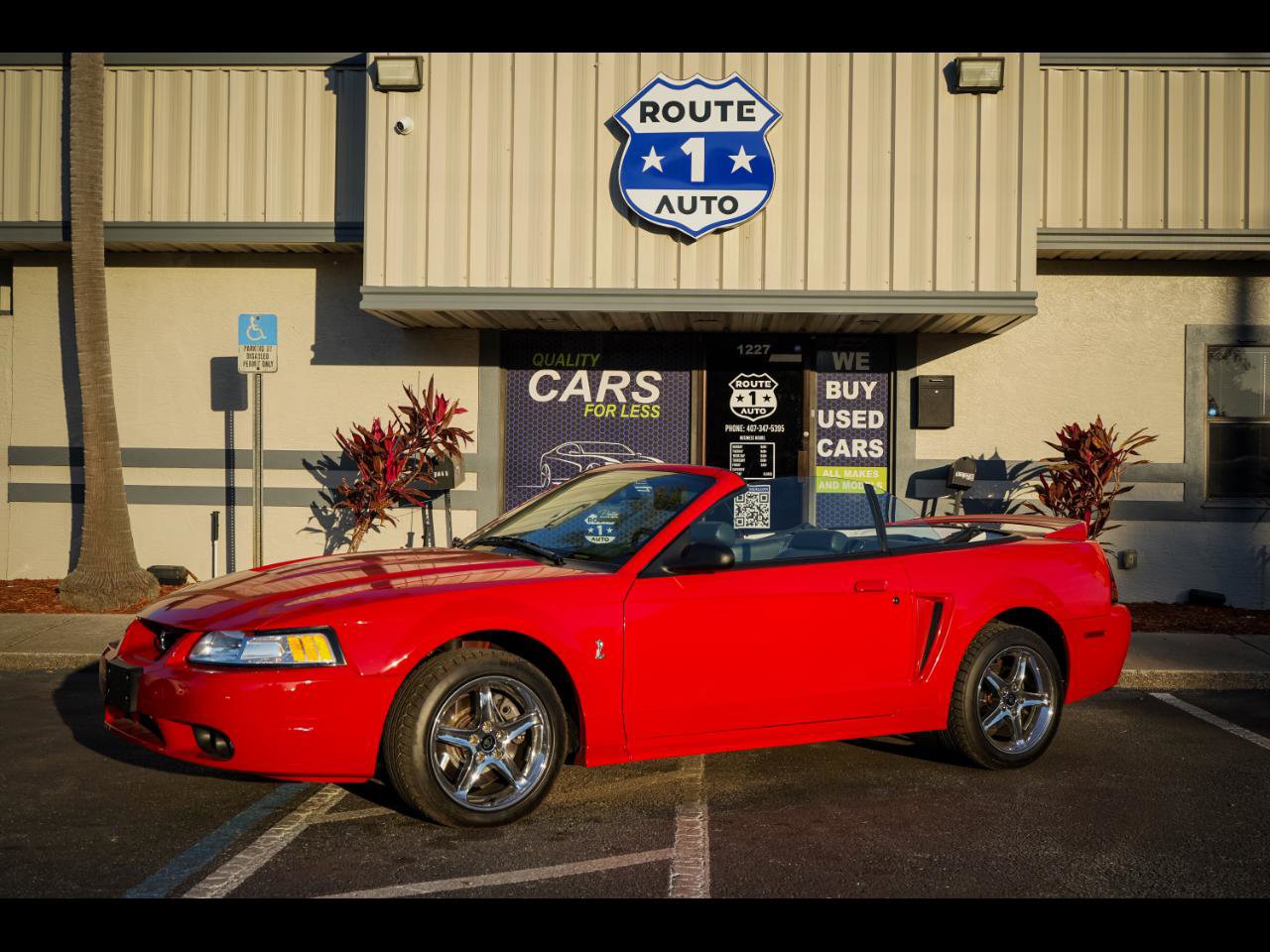 Used 1999 Ford Mustang Cobra image 1