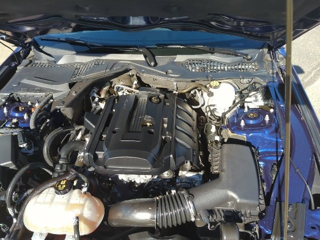 Used 2019 Ford Mustang Coupe image 20