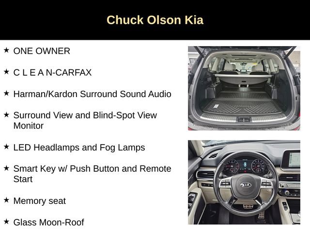 Used 2021 Kia Telluride SX image 4