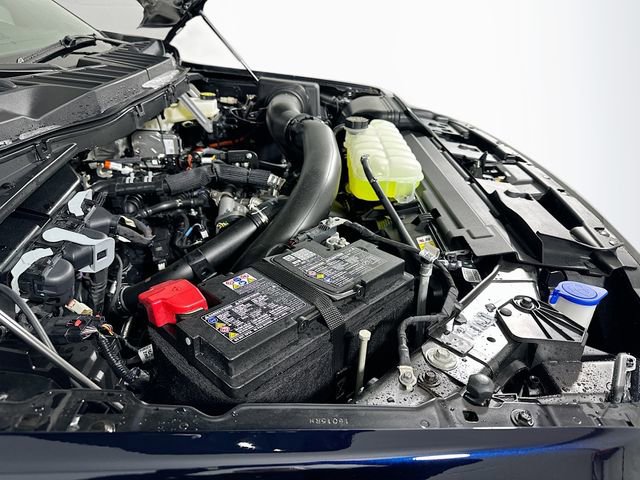 New 2026 Ford F150 XLT w/ Equipment Group 302A MID image 20