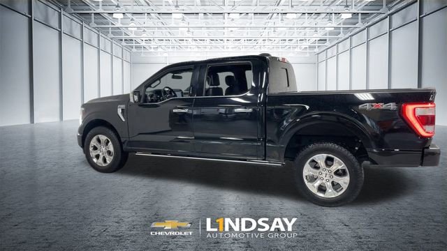 Used 2023 Ford F150 Platinum image 7