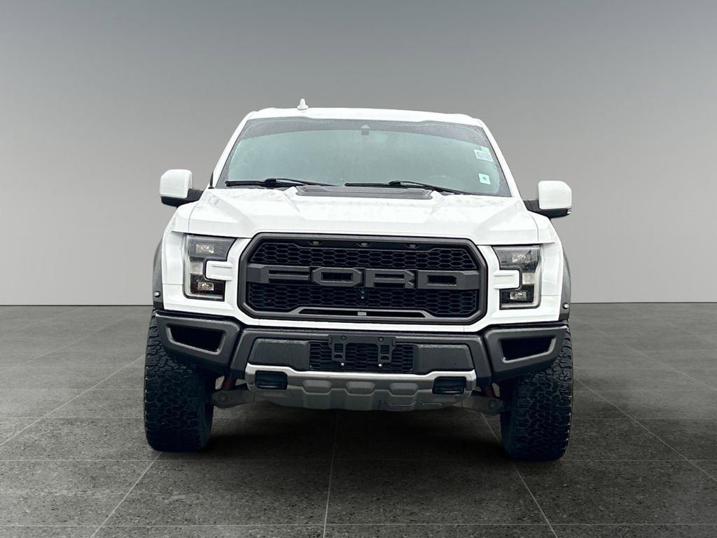 Used 2019 Ford F150 Raptor w/ Equipment Group 802A Luxury image 2