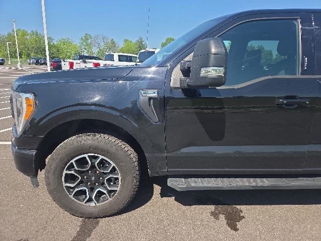 Used 2021 Ford F150 XLT w/ Equipment Group 302A High AWD/4WD image 14