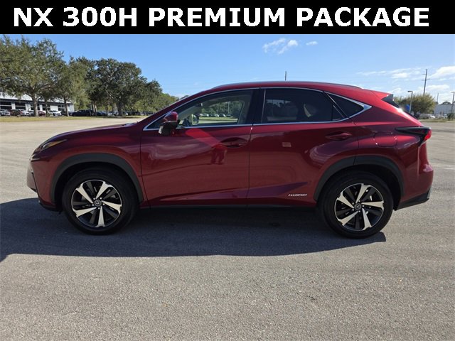 Used 2020 Lexus NX 300h AWD w/ Premium Package image 6